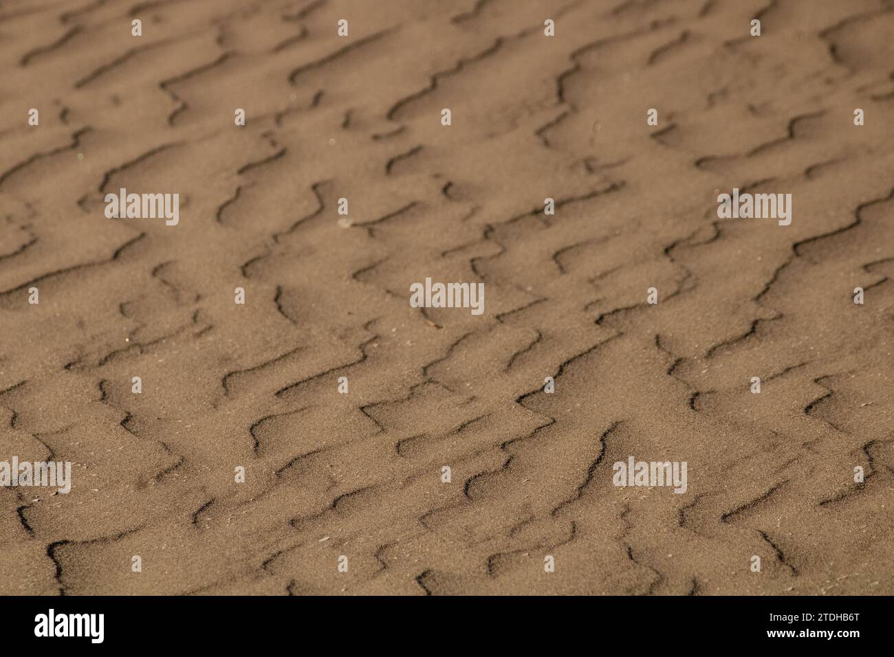 Dieser faszinierende Tanz aus windgeformtem Sand zeigt die zarte Schönheit der Kunstwerke der Natur in der ruhigen Umarmung des Windes. Stockfoto