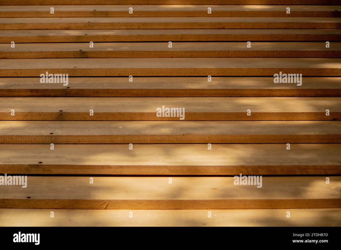 Abstrakte Sinfonie aus Holzdielen, anmutig in gestaffelter Harmonie angeordnet, gemalt von sanften Schatten, die von obenliegendem Laub geworfen werden – eine visuelle Poesie. Stockfoto