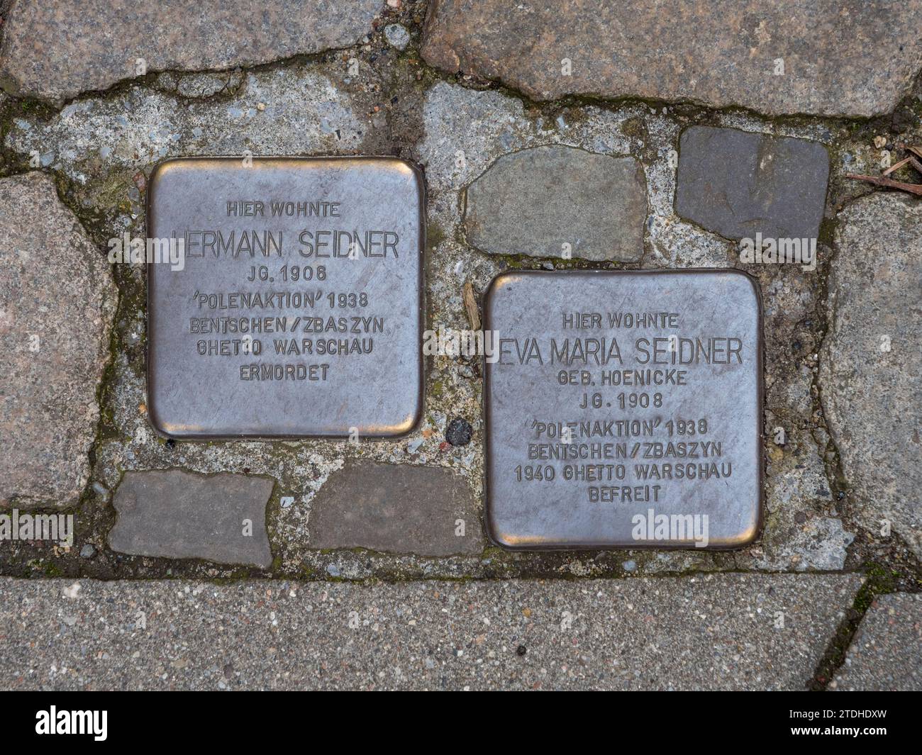 Ein Paar Bronze-Stolpersteine in Hamburg. Stockfoto