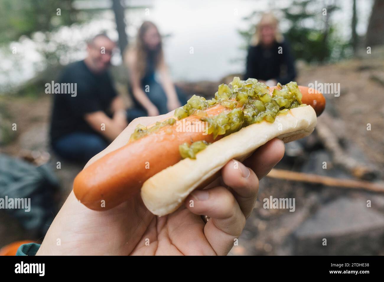 Leckere Hotdogs, die draußen am offenen Feuer im Sommer gekocht wurden Stockfoto