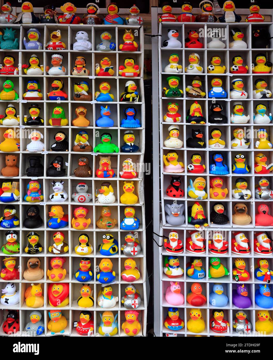Verschiedene Charaktere von amüsanten Rubber Bath Ducks, in einem Souvenirladen im Stadtzentrum von Bath. Dezember 2023. Stockfoto
