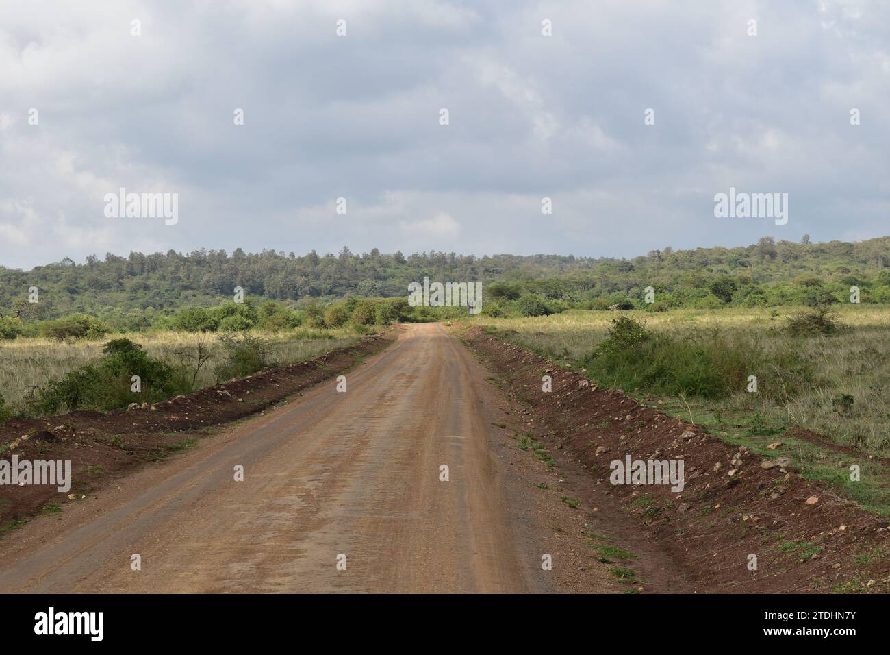 Unbefestigte Straße, die von der Langata Road in den Nairobi Nationalpark führt Stockfoto