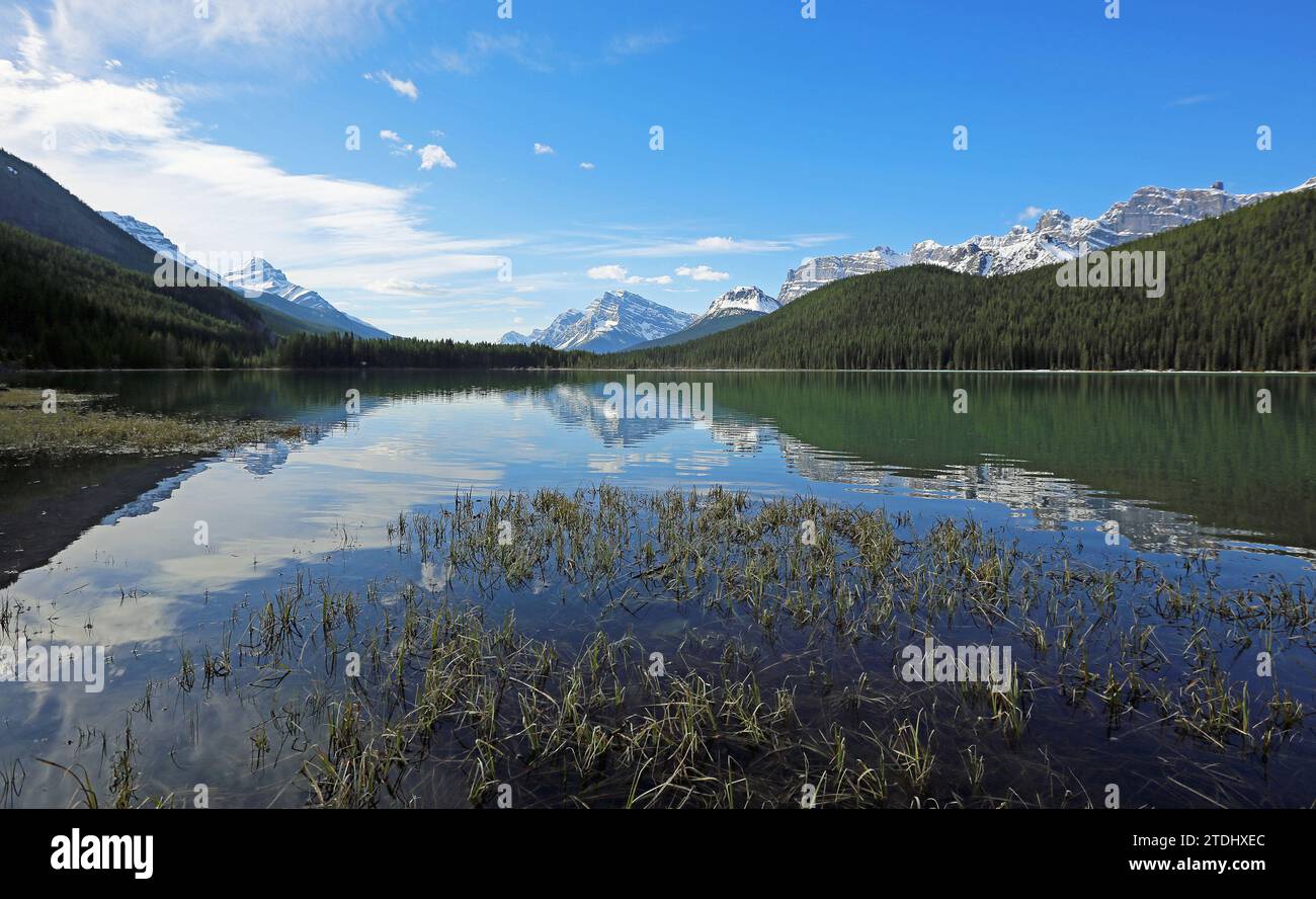 Panorama mit Waterfowl Lake, Kanada Stockfoto