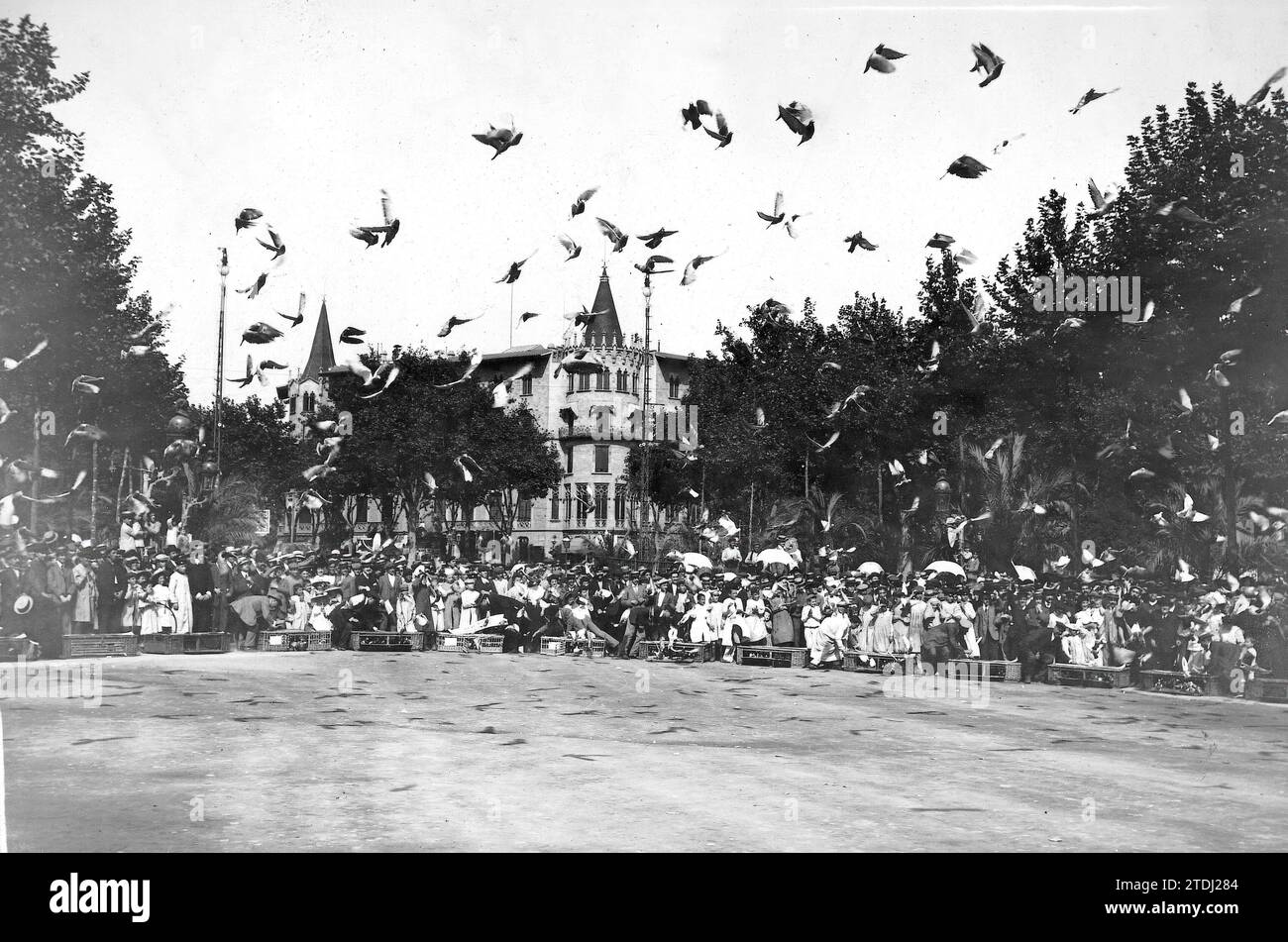 Barcelona, 1/10/1908. Die Feierlichkeiten der Barmherzigkeit. Freilassung von Tauben auf der Plaza de Catalunya. Quelle: Album / Archivo ABC / Federico Ballell Stockfoto