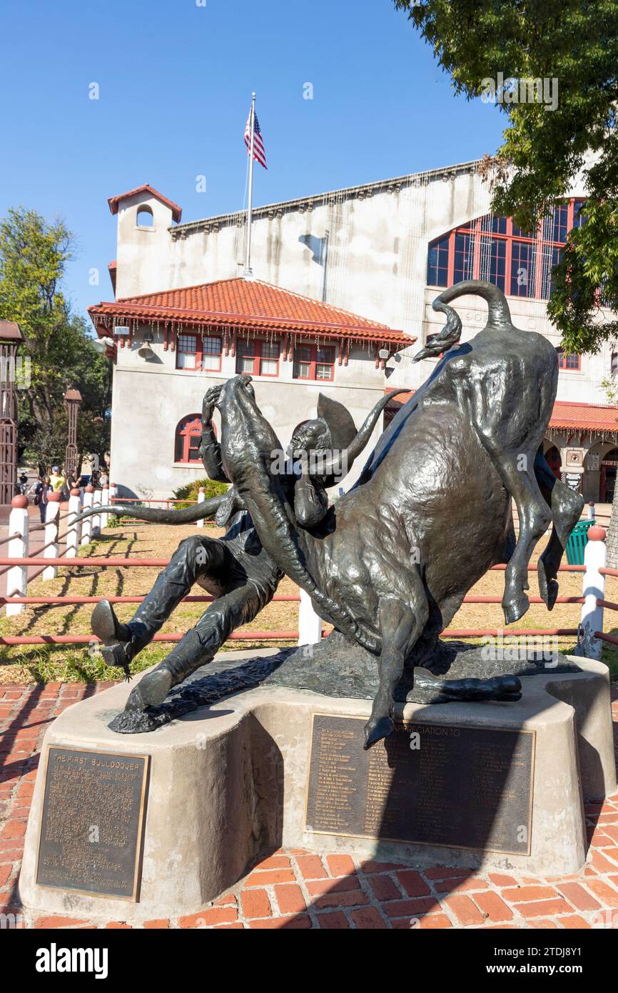 Fort Worth, Texas – 4. November 2023: Statue of the W. M. Pickett – die erste Stürmerwrestling-Statue in den Fort Worth Stockyards. Texas, Usa Stockfoto