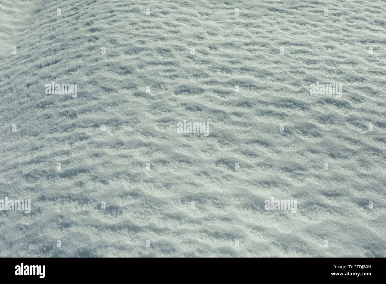Textur von Frühlingsschnee. Eisschicht. Details der Winternatur. Schneedecke. Stockfoto