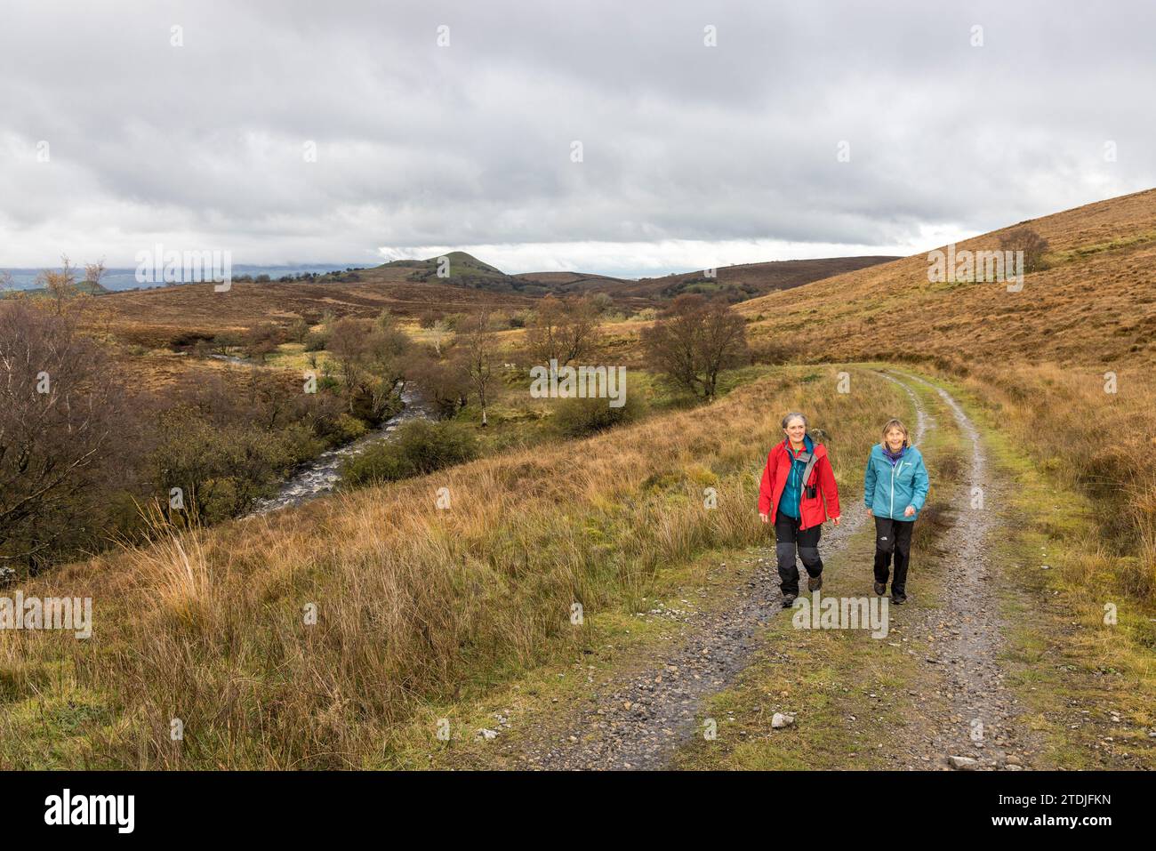 Zwei Leute, die auf einem Fußweg laufen, Cuilcagh, Irland Stockfoto