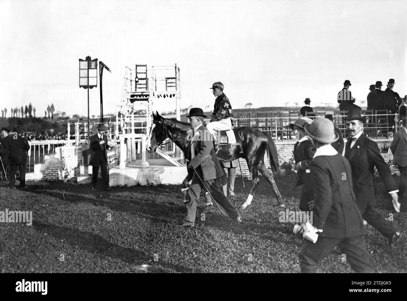 Madrid. November 1913. Das Pferd „Sol“, im Besitz von Marqués de Corpa, Gewinner des ersten Preises beim Rennen „Málaga“ (Handicap). Quelle: Album / Archivo ABC / Julio Duque Stockfoto