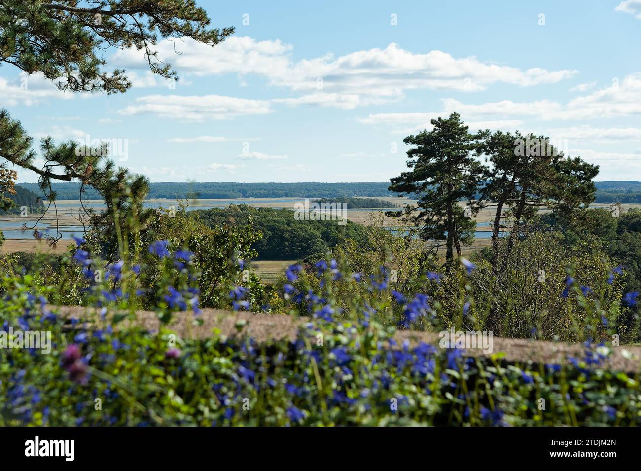 The Crane Estate - Ipswich, Massachusetts. Farbenfrohe lila und violette Blumen säumen eine alte Steinmauer und bieten einen Panoramablick auf die Ipswich Moore Stockfoto