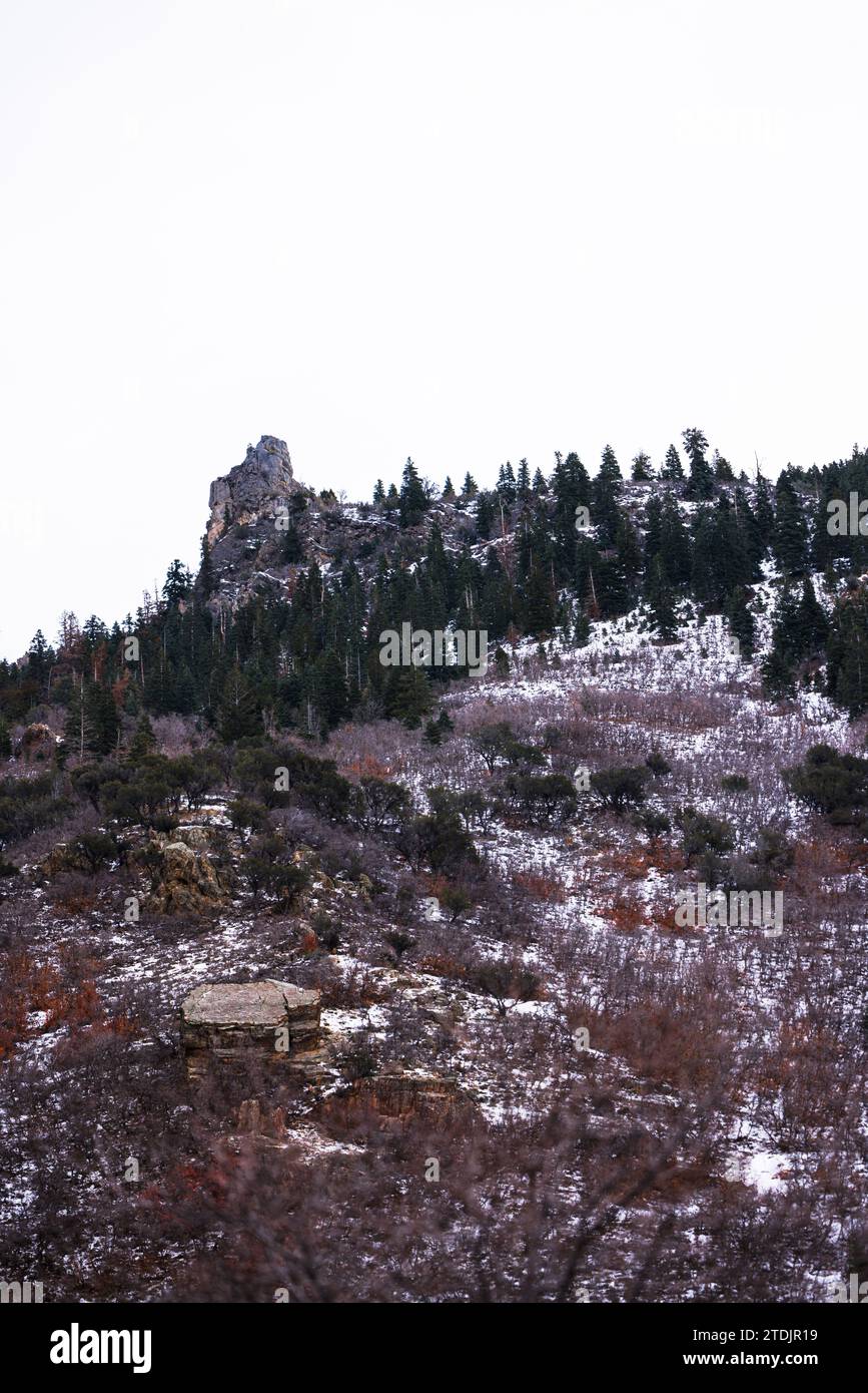 Felsenturm in grünen Bäumen, Slate Canyon Park, utah Stockfoto