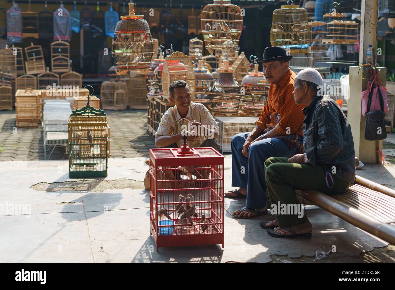 Bewohner verkaufen verschiedene exotische Vögel auf dem Pasar Pon Traditional Animal Market in Semarang, Indonesien - 18. Dezember 2023. Stockfoto