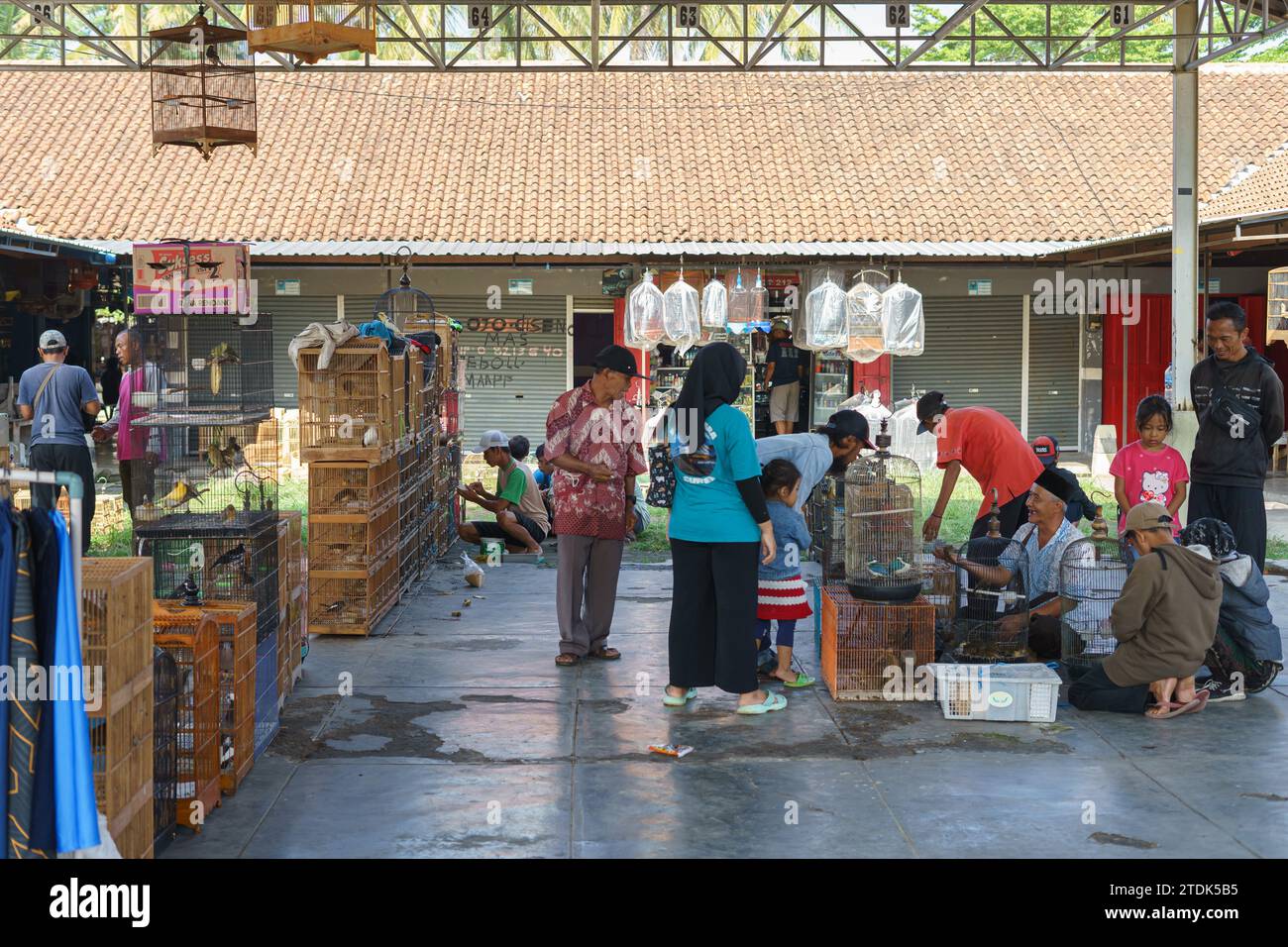Bewohner verkaufen verschiedene exotische Vögel auf dem Pasar Pon Traditional Animal Market in Semarang, Indonesien - 18. Dezember 2023. Stockfoto