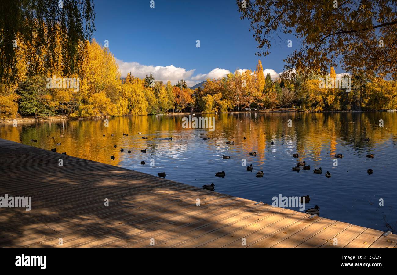 Puigcerdà Teich im Herbst mit Farbwechsel in den Bäumen (Cerdanya, Girona, Katalonien, Spanien, Pyrenäen) ESP: Lago de Puigcerdà en otoño (Gerona) Stockfoto