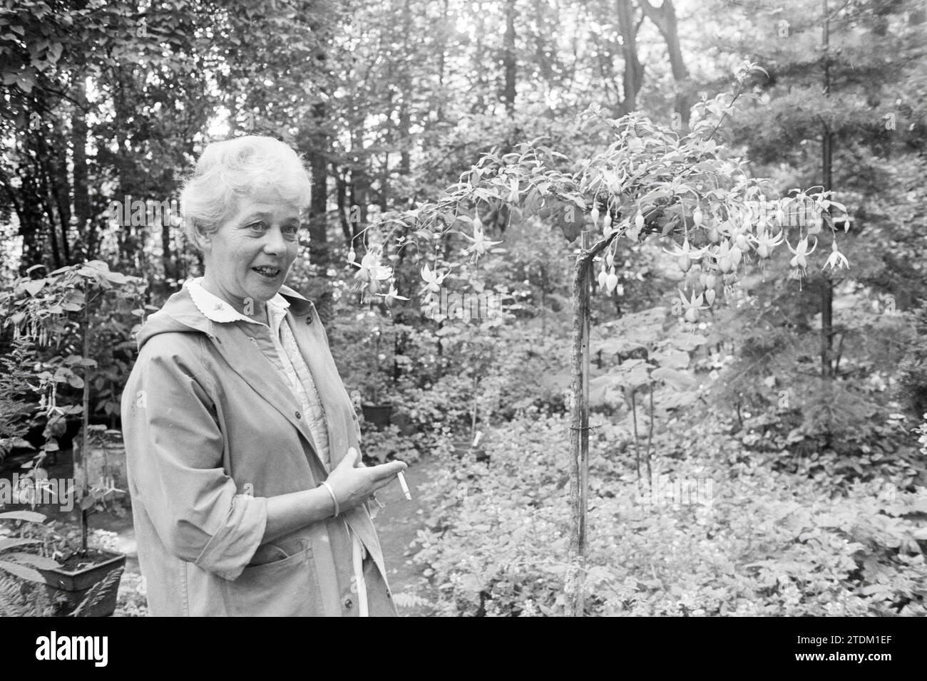 Mrs. Grainboom in Garten, Gärten und Parks, 10. 02.1985, Whizgle News aus der Vergangenheit, zugeschnitten auf die Zukunft. Erkunden Sie historische Geschichten, das Image der niederländischen Agentur aus einer modernen Perspektive, die die Lücke zwischen den Ereignissen von gestern und den Erkenntnissen von morgen überbrückt. Eine zeitlose Reise, die die Geschichten prägt, die unsere Zukunft prägen Stockfoto