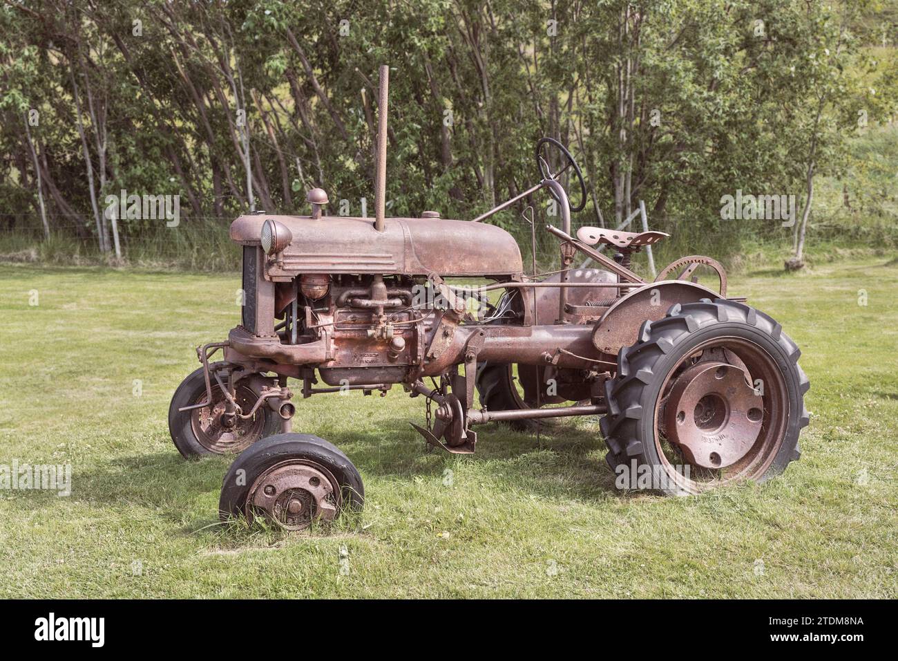 Rostiger, antiker Traktor, der in einem üppig grünen Heufeld in einem Bauernmuseum in Island mit verschwommenen Bäumen im Hintergrund geparkt wird Stockfoto