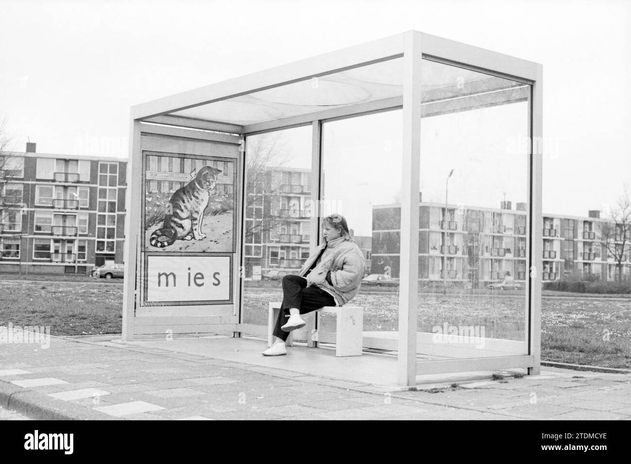 Bushaltestelle IJmuiden mit AAP Noot Mies Werbung, Busse, Busreisen, 05-04-1988, Whizgle News aus der Vergangenheit, zugeschnitten auf die Zukunft. Erkunden Sie historische Geschichten, das Image der niederländischen Agentur aus einer modernen Perspektive, die die Lücke zwischen den Ereignissen von gestern und den Erkenntnissen von morgen überbrückt. Eine zeitlose Reise, die die Geschichten prägt, die unsere Zukunft prägen Stockfoto