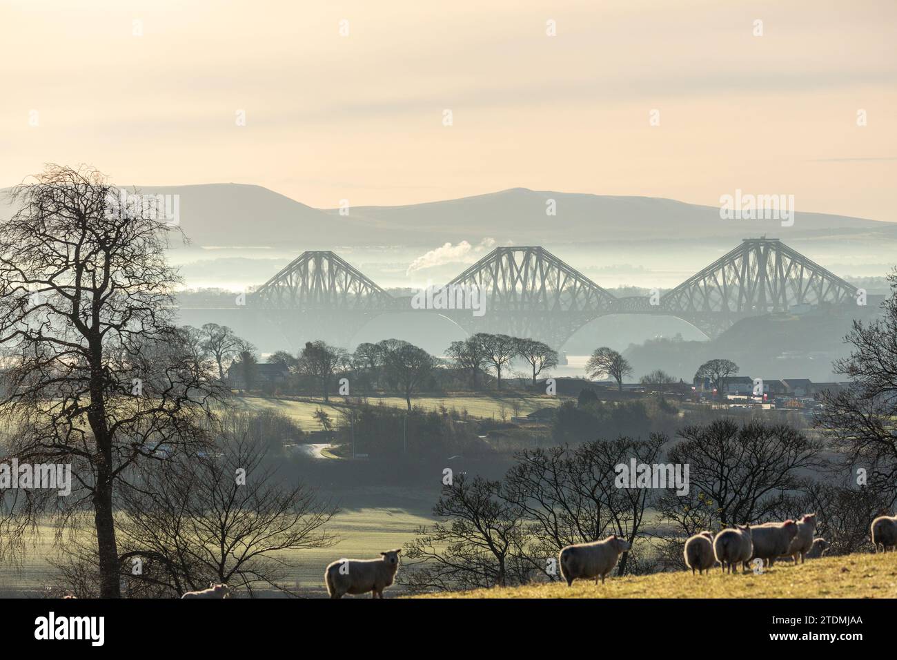 Die Forth Rail Bridge aus der Nähe von Dunfermline, Fife, Schottland Stockfoto