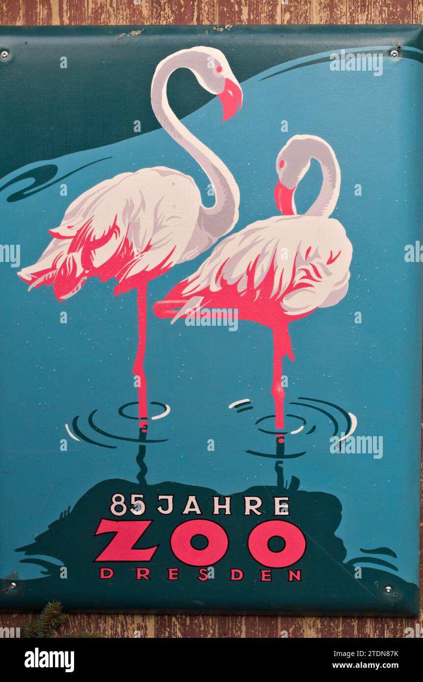 Dresdner Zoo-Poster für 85. Jubiläum Stockfoto