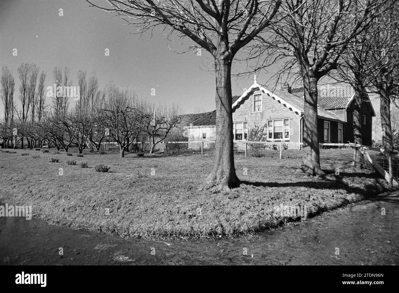 Farm, Whizgle News aus der Vergangenheit, maßgeschneidert für die Zukunft. Erkunden Sie historische Geschichten, das Image der niederländischen Agentur aus einer modernen Perspektive, die die Lücke zwischen den Ereignissen von gestern und den Erkenntnissen von morgen überbrückt. Eine zeitlose Reise, die die Geschichten prägt, die unsere Zukunft prägen Stockfoto