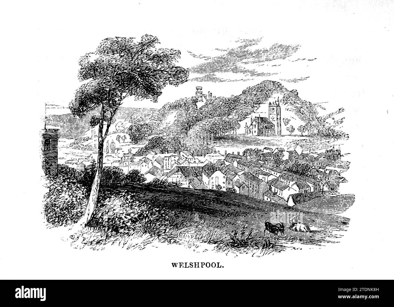 Welshpool (walisisch Y Trallwng) ist eine Marktgemeinde in Powys, Wales, die sich im County Montgomeryshire befindet. Aus dem Buch The Severn Valley: A Series of Sketches, Descriptive and Pictorial, of the Course of the Severn: With Notices of its topographical, Industrial and geological Features; with Views on its Historical and Legendary Associations by Randall, John, 1810-1910 Publikation date 1862 Publisher J. S. Virtue Stockfoto