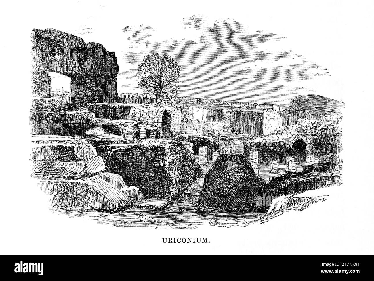 Viroconium oder Uriconium, früher Viroconium Cornoviorum, war eine römische Stadt, von der heute Wroxeter, ein kleines Dorf in Shropshire, England, aus dem Buch The Severn Valley: A Series of Sketches, deskriptiv und bildhaft, of the course of the Severn: mit Hinweisen zu topographischen, industriellen und geologischen Merkmalen; mit Blicken auf die historischen und legendären Assoziationen von Randall, John, 1810-1910 Publikationsdatum 1862 Herausgeber J. S. Tugend Stockfoto