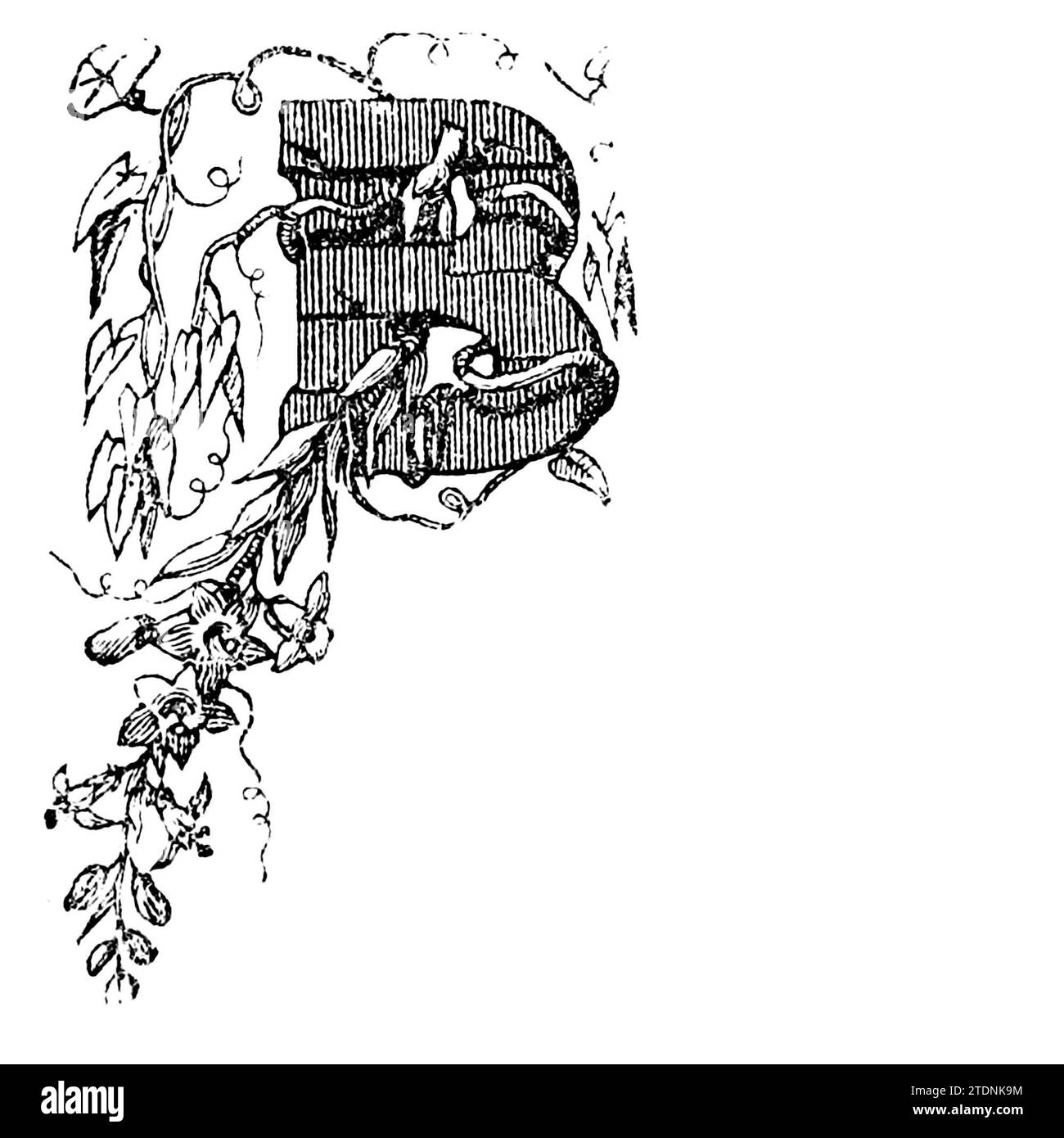 Dekorative Blumenkürzel B Vintage Gravur oder Strichzeichnung Illustration. Aus dem Buch The Severn Valley: A Series of Sketches, Descriptive and Pictorial, of the Course of the Severn: With Notices of its topographical, Industrial and geological Features; with Views on its Historical and Legendary Associations by Randall, John, 1810-1910 Publikation date 1862 Publisher J. S. Virtue Stockfoto