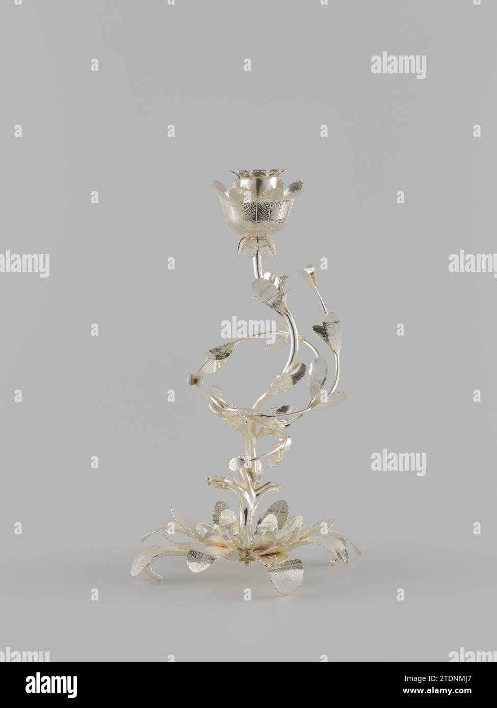 Kerzenhalter aus Silber mit Stamm in Form eines gewundenen Baumstamms mit drei gewundenen Zweigen mit ovalen Blättern und Kerzenhalter in Blumenkrone., Jan Kemaer (möglich), 1784 Silberleuchter. Aus einer Blattrosette erhebt sich ein gewundener Baumstamm, der sich in drei gewundene Äste mit ovalen Blättern teilt. Der Kerzenhalter ist in einer Blumenkrone gefangen. Dordrecht Silberkerzenhalter (Metall). Aus einer Blattrosette erhebt sich ein gewundener Baumstamm, der sich in drei gewundene Äste mit ovalen Blättern teilt. Der Kerzenhalter ist in einer Blumenkrone gefangen. Dordrecht Silber (Metall) Stockfoto Kerzenhalter aus Silber mit Stamm in Form eines gewundenen Baumstamms mit drei gewundenen Zweigen mit ovalen Blättern und Kerzenhalter in Blumenkrone., Jan Kemaer (möglich), 1784 Silberleuchter. Aus einer Blattrosette erhebt sich ein gewundener Baumstamm, der sich in drei gewundene Äste mit ovalen Blättern teilt. Der Kerzenhalter ist in einer Blumenkrone gefangen. Dordrecht Silberkerzenhalter (Metall). Aus einer Blattrosette erhebt sich ein gewundener Baumstamm, der sich in drei gewundene Äste mit ovalen Blättern teilt. Der Kerzenhalter ist in einer Blumenkrone gefangen. Dordrecht Silber (Metall) Stockfoto