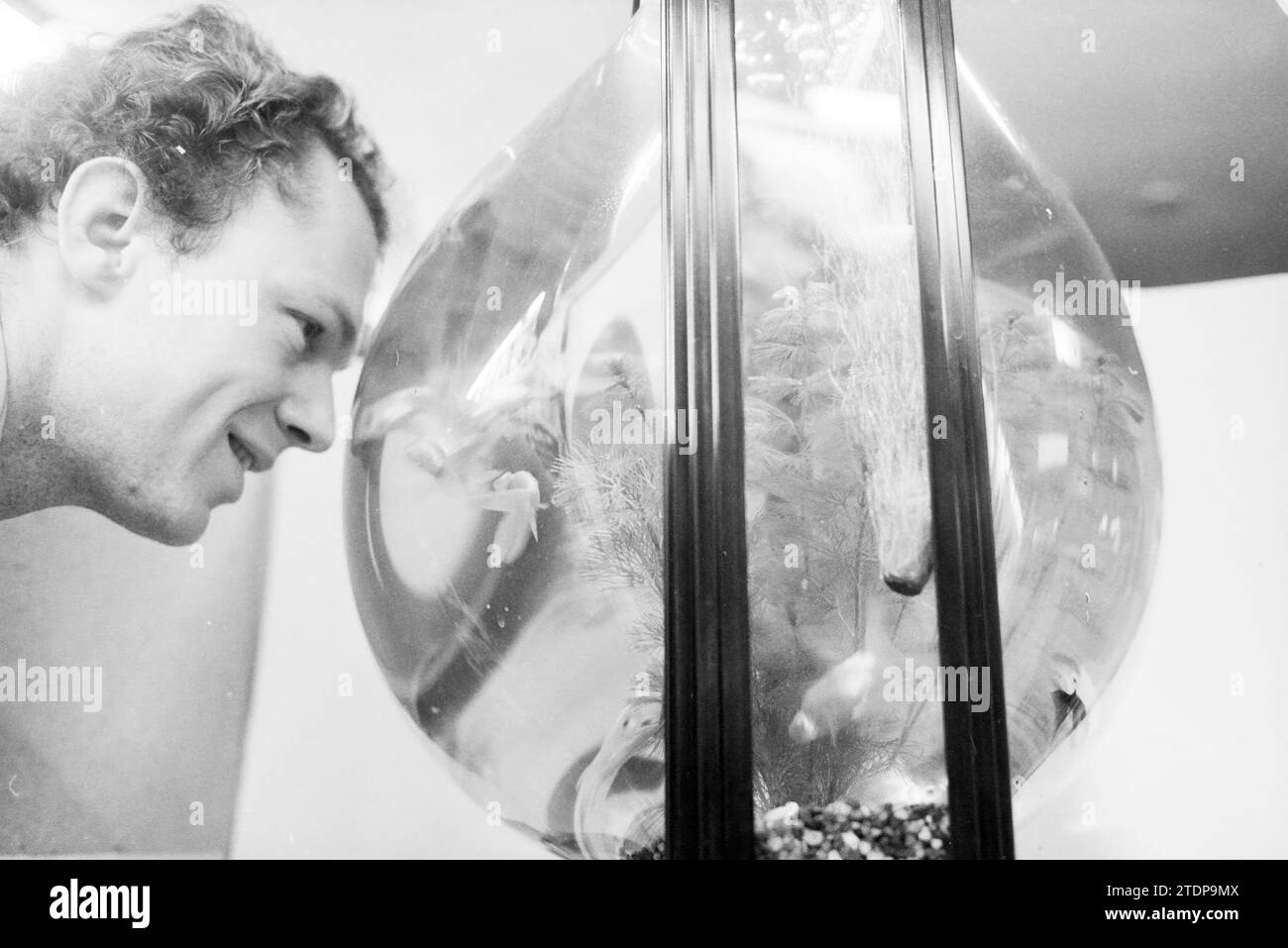 Spezielle Fischschüssel, Tierhandwerk Jacobijnestraat, Visserij und andere, Fischhändler, Fisch, Haarlem, Jacobijnestraat, Niederlande, 08-02-1989, Whizgle News from the Past, Tailored for the Future. Erkunden Sie historische Geschichten, das Image der niederländischen Agentur aus einer modernen Perspektive, die die Lücke zwischen den Ereignissen von gestern und den Erkenntnissen von morgen überbrückt. Eine zeitlose Reise, die die Geschichten prägt, die unsere Zukunft prägen Stockfoto