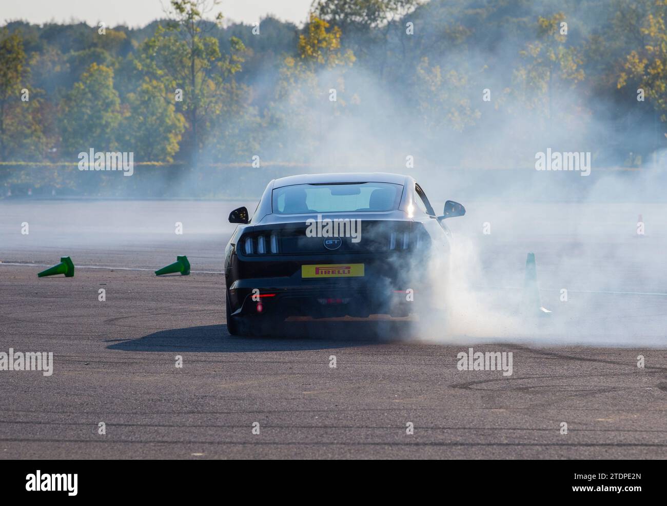 Stuntfahrer Paul Swift fährt seinen Ford Focus auf zwei Rädern und Mustang dreht sich Stockfoto