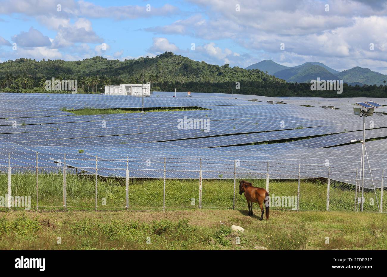 Alaminos, Philippinen. 19. Dezember 2023 : Alaminos AC Energy Storage (ACEN) Solarpark, eines der größten Photovoltaik-/Agrarvoltaik-Projekte des Landes. Gestern, während des Treffens der Asia Zero Emission Community (AZEC) in Tokio, warb Präsident Marcos für Investitionen der ASEAN in erneuerbare Energien, förderte steuerliche Anreize und die Aufhebung der Beschränkungen für ausländische Beteiligungen. Die Philippinen wollen den Anteil nachhaltiger Energie an ihrer Stromerzeugung im Jahr 2040 auf 50 % erhöhen. Die Philippinen sind weltweit der viertattraktivste Schwellenmarkt für Investitionen in saubere Energien (BloombergNEF). Quelle: Kevin Izorce/Alamy Live News Stockfoto