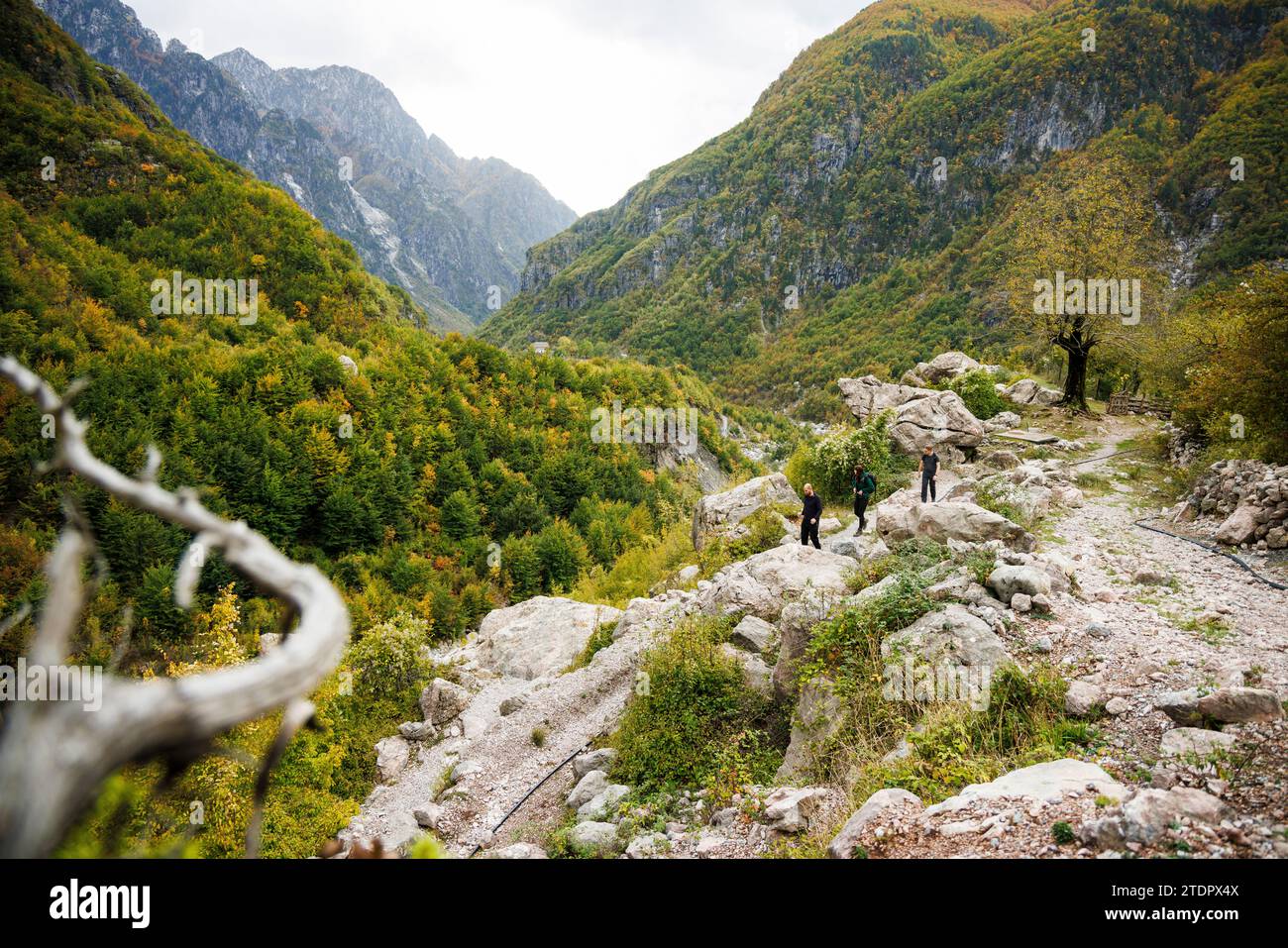 Gruppe von Wanderern auf einem Wanderweg in den albanischen Alpen Stockfoto