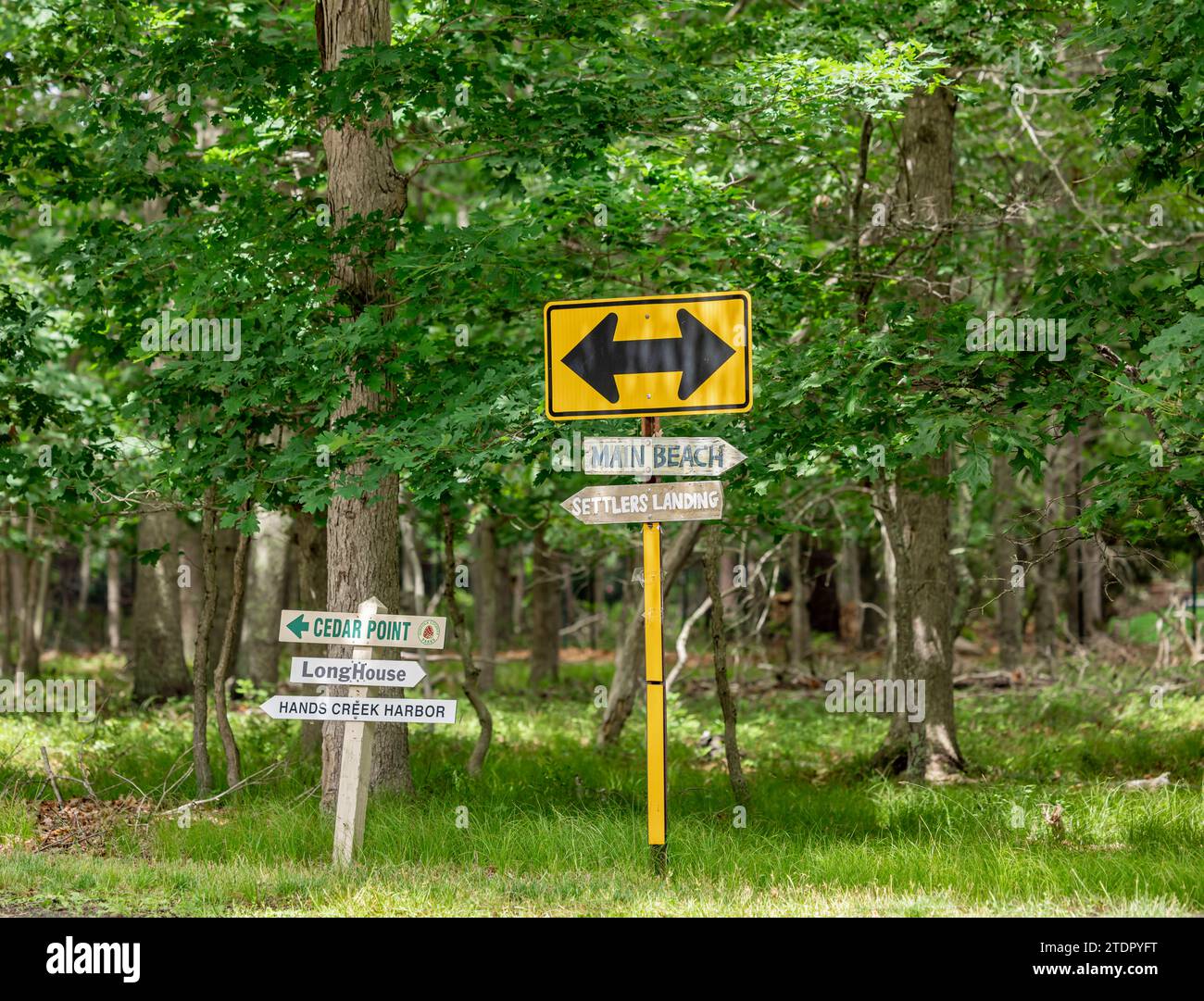 Verschiedene Schilder in den Wäldern im Nordwesten weisen auf verschiedene Sehenswürdigkeiten hin Stockfoto