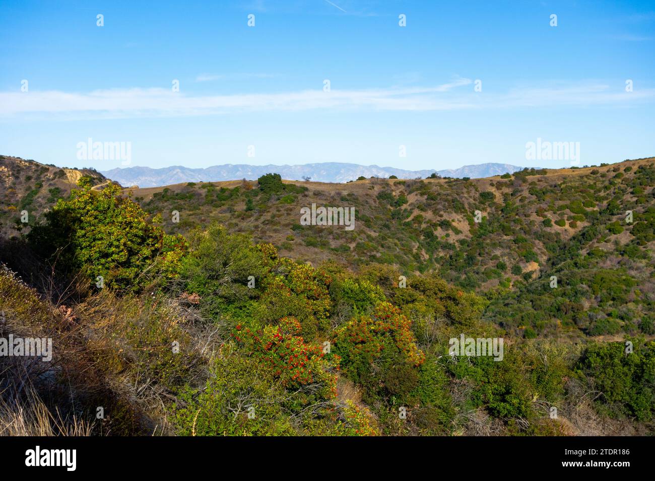 Aussichtspunkt des Radfahrens im Mandeville Canyon der Santa Monica Mountains Stockfoto