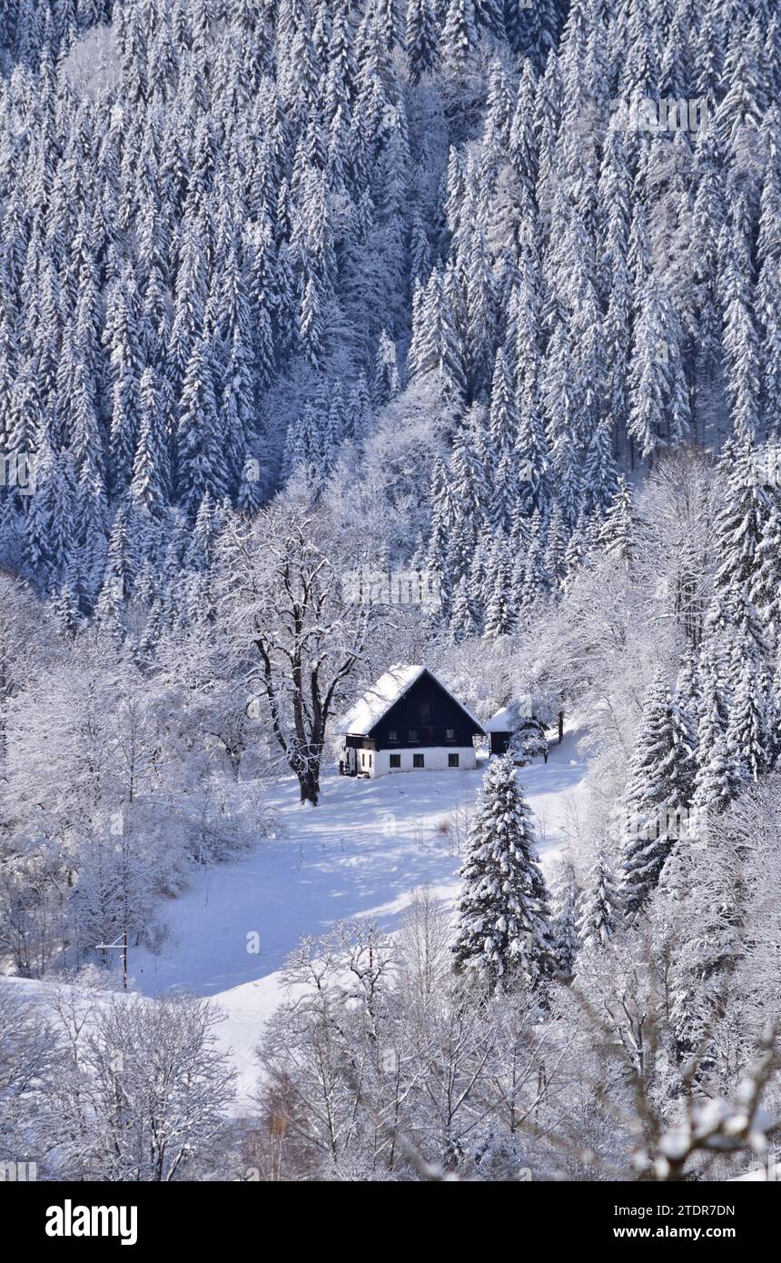 Einsames Haus im Winter, vertikal Stockfoto