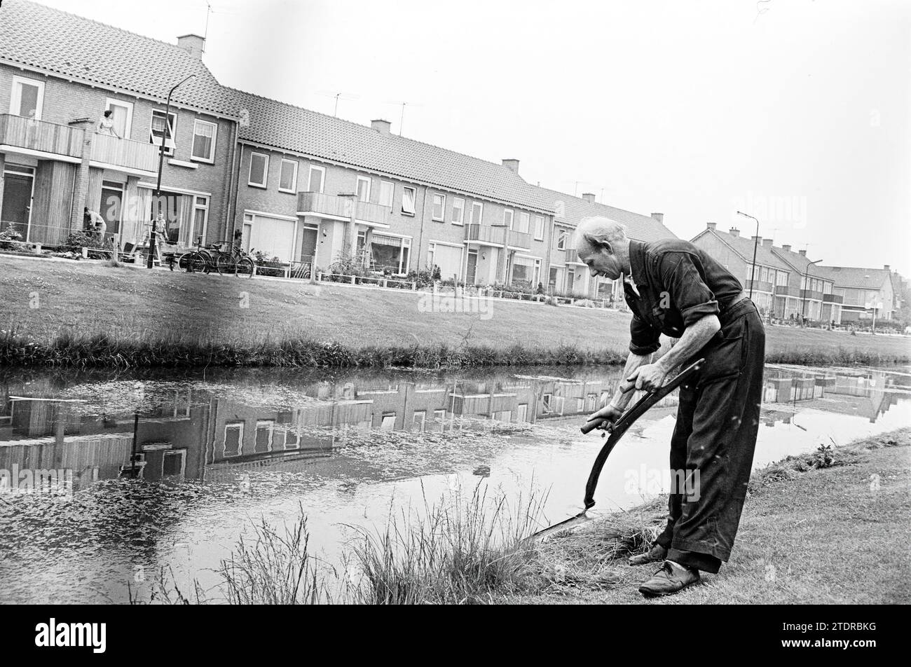 Grasmähen mit einer Sense entlang des Wassers, 00-07-1962, Whizgle News from the Past, maßgeschneidert für die Zukunft. Erkunden Sie historische Geschichten, das Image der niederländischen Agentur aus einer modernen Perspektive, die die Lücke zwischen den Ereignissen von gestern und den Erkenntnissen von morgen überbrückt. Eine zeitlose Reise, die die Geschichten prägt, die unsere Zukunft prägen Stockfoto