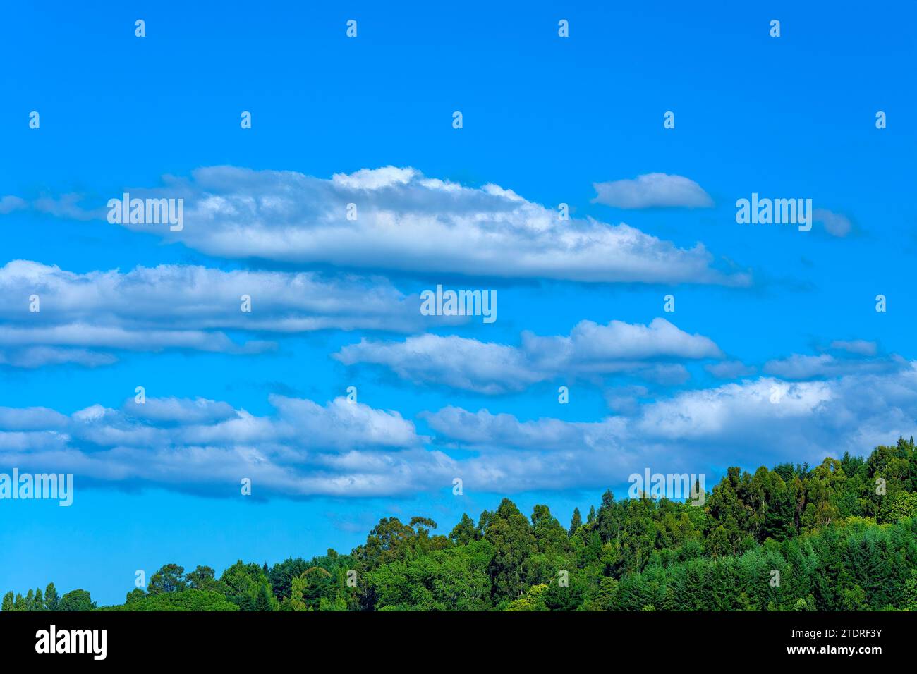 Eine ruhige Landschaft in Puerto Varas, Chile Stockfoto