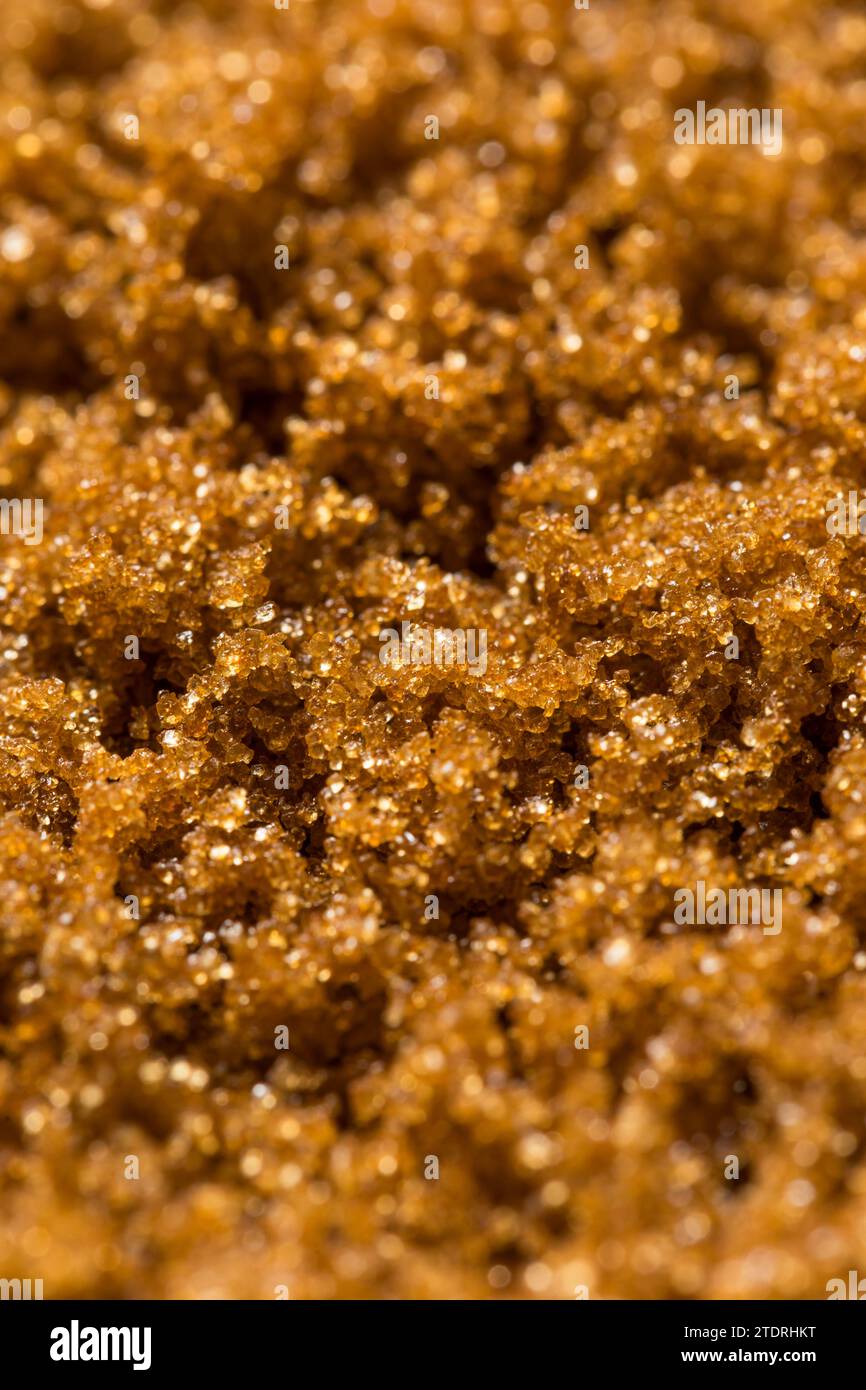 Bio-Rohzucker, süßer hellbrauner Zucker in einer Schüssel Stockfoto