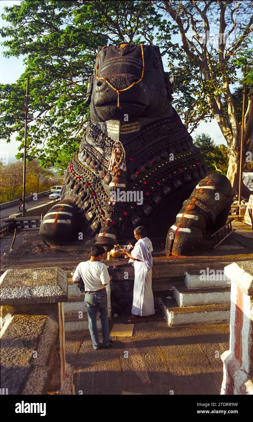 Der Schwarze Stier von Mysore, Indien, eine kolossale Statue des Stiers Nandi, ein hinduistischer Gott, berühmtes Denkmal auf dem Chamundi Hügel, das aus einem einzigen Stück Stein geschnitzt wurde Stockfoto