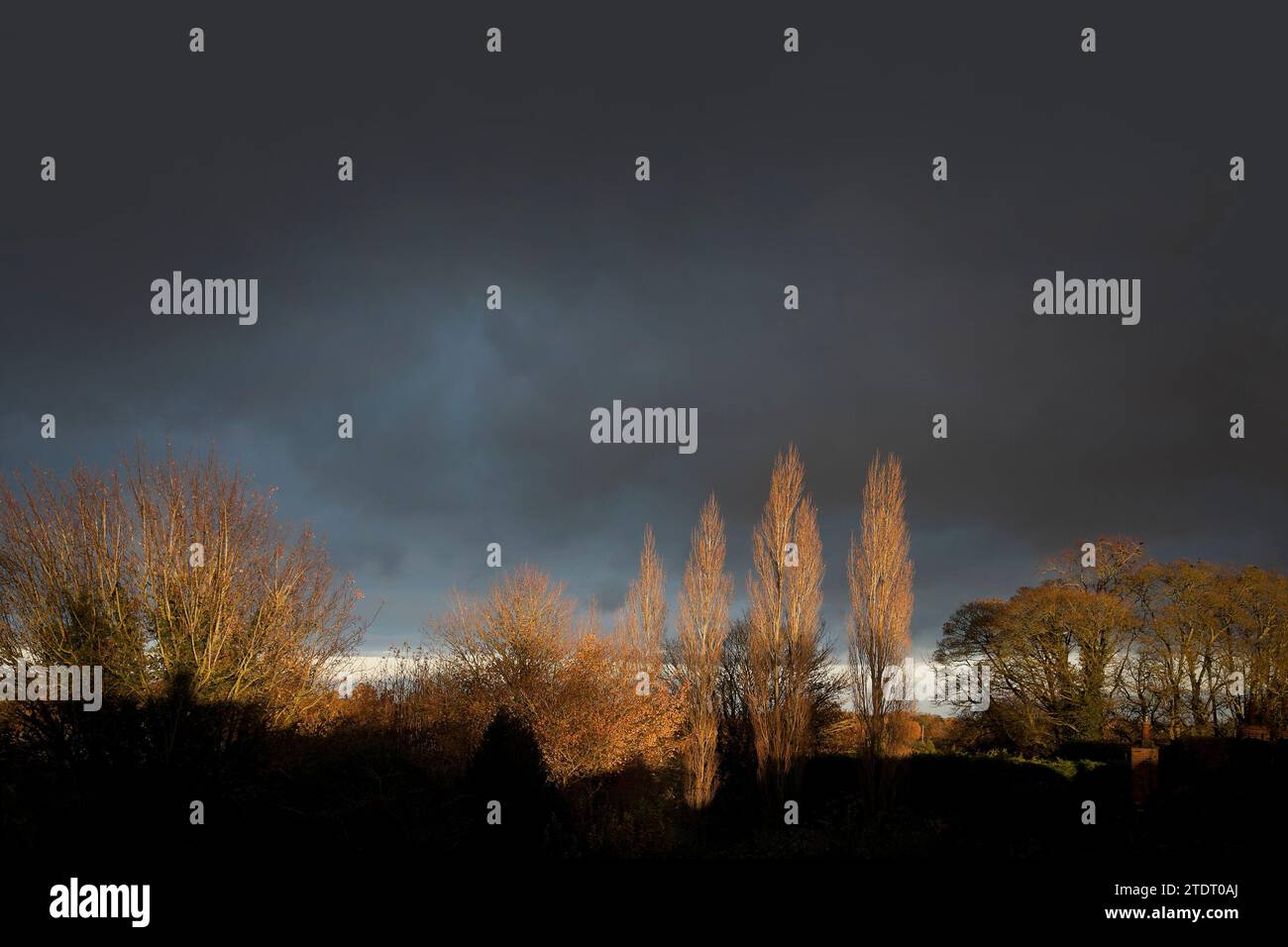 Winterhimmel, niedrige Sonne, Schatten des Hauses Stockfoto