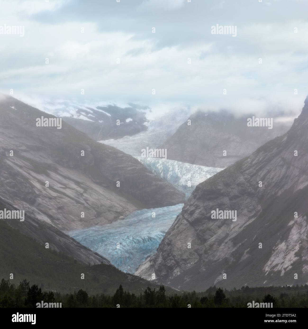 Sommer bedeckt, Nigardsbreen Gletscher Jostedalsbreen, Norwegen Stockfoto