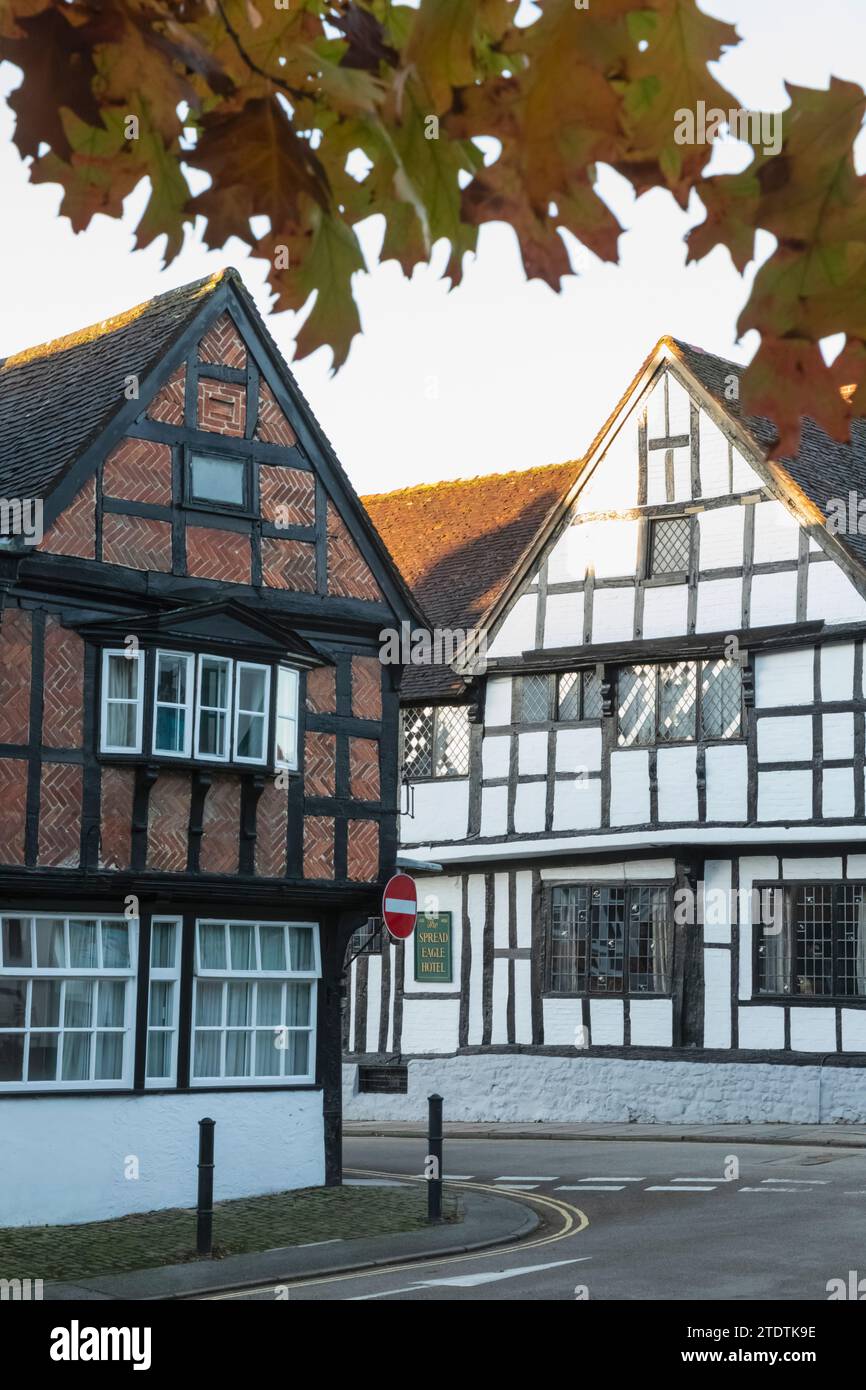 England, West Sussex, Midhurst, Fachwerkhäuser Aus Der Tudor-Ära Stockfoto