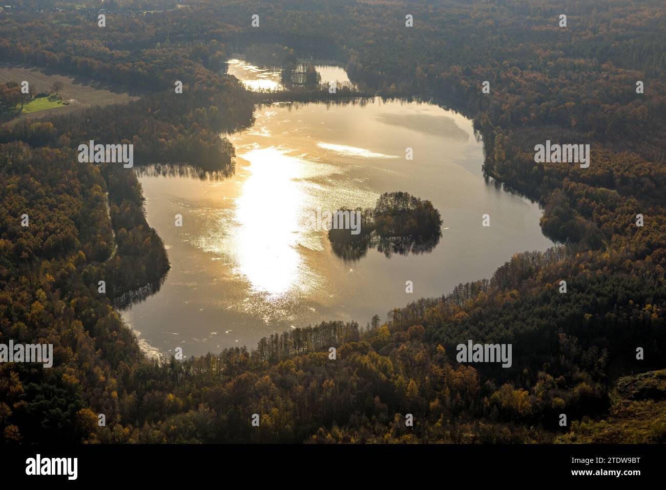 Luftaufnahme, Naturschutzgebiet NSG Kirchheller Heide, Herbstwald mit Heidesee im Hintergrund, umgeben von herbstlichen Laubbäumen, Kirchhellen-Süd Stockfoto