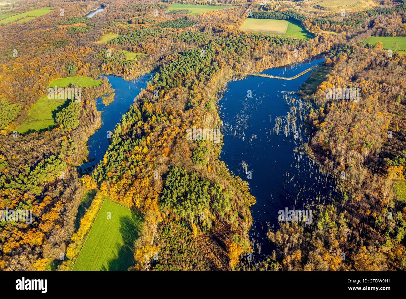 Aus der Vogelperspektive, Naturschutzgebiet NSG Kirchheller Heide, Herbstwald mit Eisbachsee-Pfingstsee und Weihnachtssee, umgeben von herbstlichen Laubbäumen Stockfoto