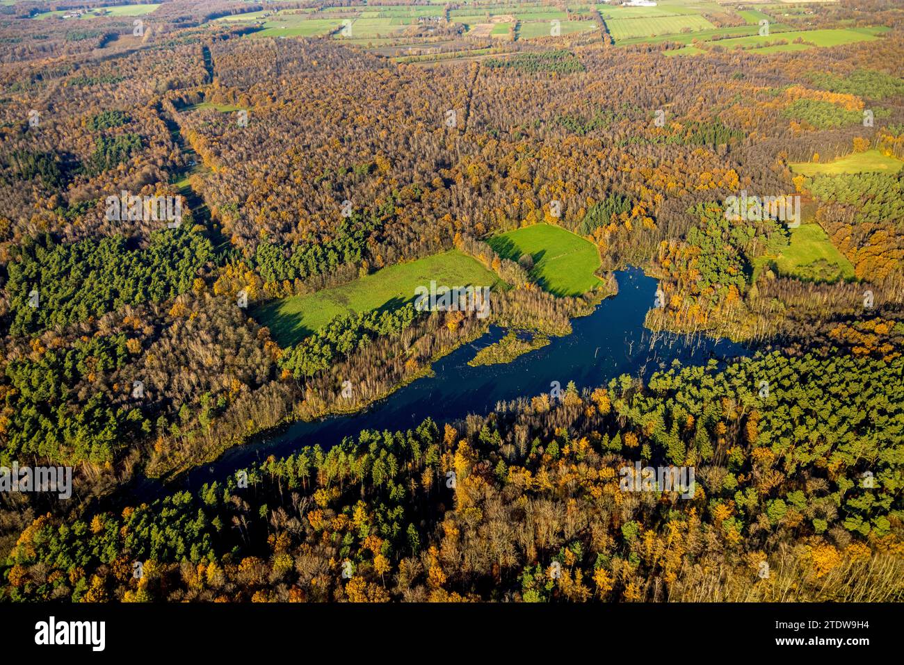 Vogelperspektive, Naturschutzgebiet NSG Kirchheller Heide, Herbstwald mit Weihnachtssee, umgeben von herbstlichen Laubbäumen, Kirchhellen-Nord-West, B Stockfoto