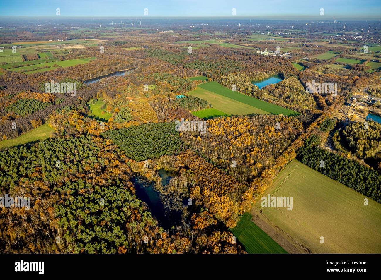 Luftaufnahme, Naturschutzgebiet NSG Kirchheller Heide, Herbstwald mit Heidhofsee, umgeben von herbstlichen Laubbäumen, Kirchhellen-Nord-West, Bottr Stockfoto