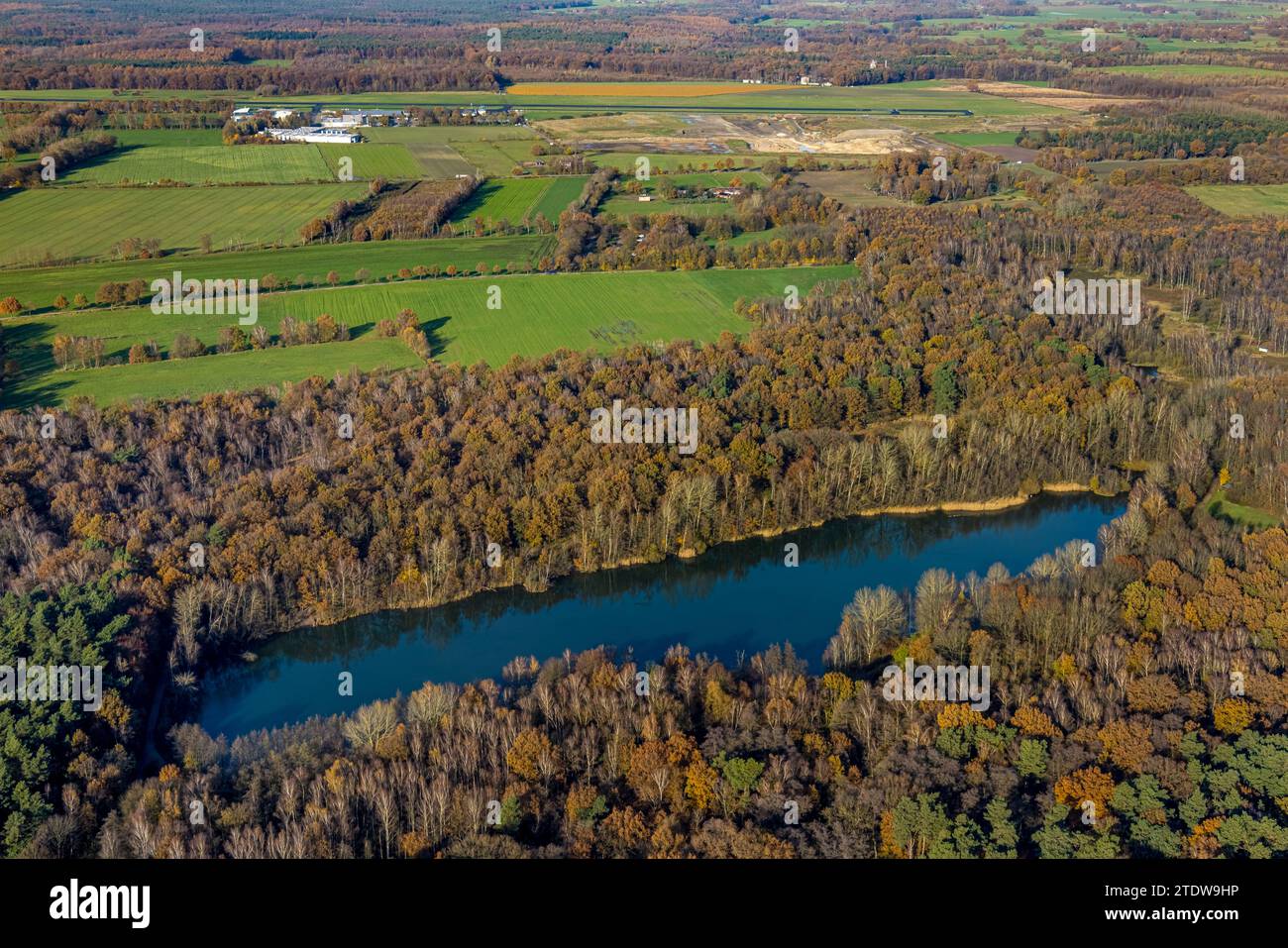 Luftaufnahme, Naturschutzgebiet NSG Kirchheller Heide, Herbstwald Heidhofsee, umgeben von herbstlichen Laubbäumen, Kirchhellen-Nord-West, Bottrop, R Stockfoto