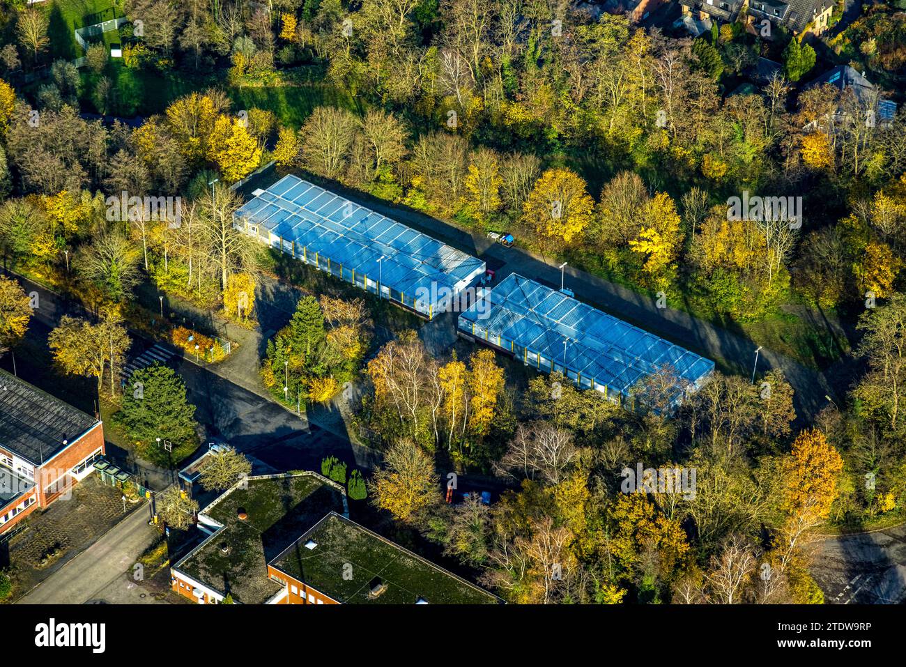Luftaufnahme, Containerdorf Fernewaldstraße, umgeben von herbstlichen Laubbäumen, Kirchhellen-Süd, Bottrop, Ruhrgebiet, Nordrhein-Westfalen, G Stockfoto