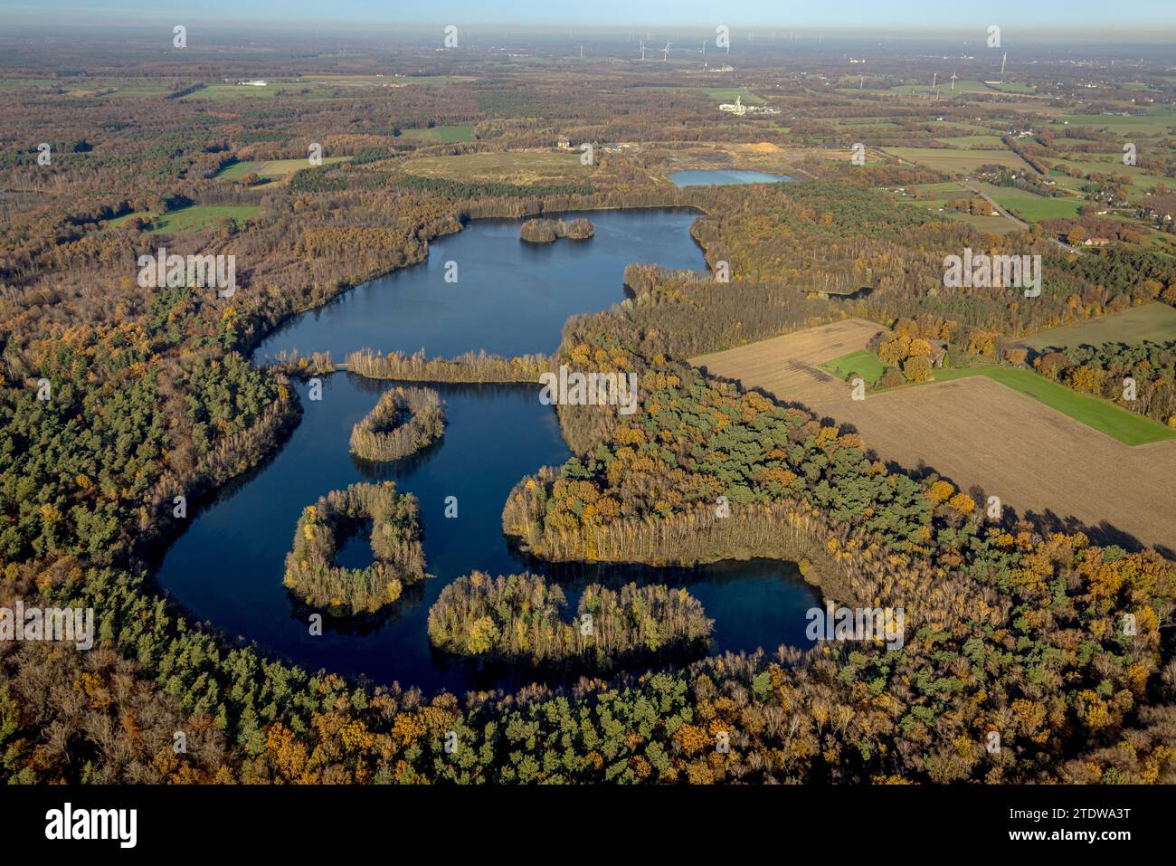 Luftaufnahme, Naturschutzgebiet NSG Kirchheller Heide, Herbstwald mit Heidesee, umgeben von herbstlichen Laubbäumen, Kirchhellen-Süd, Bottrop, Ru Stockfoto