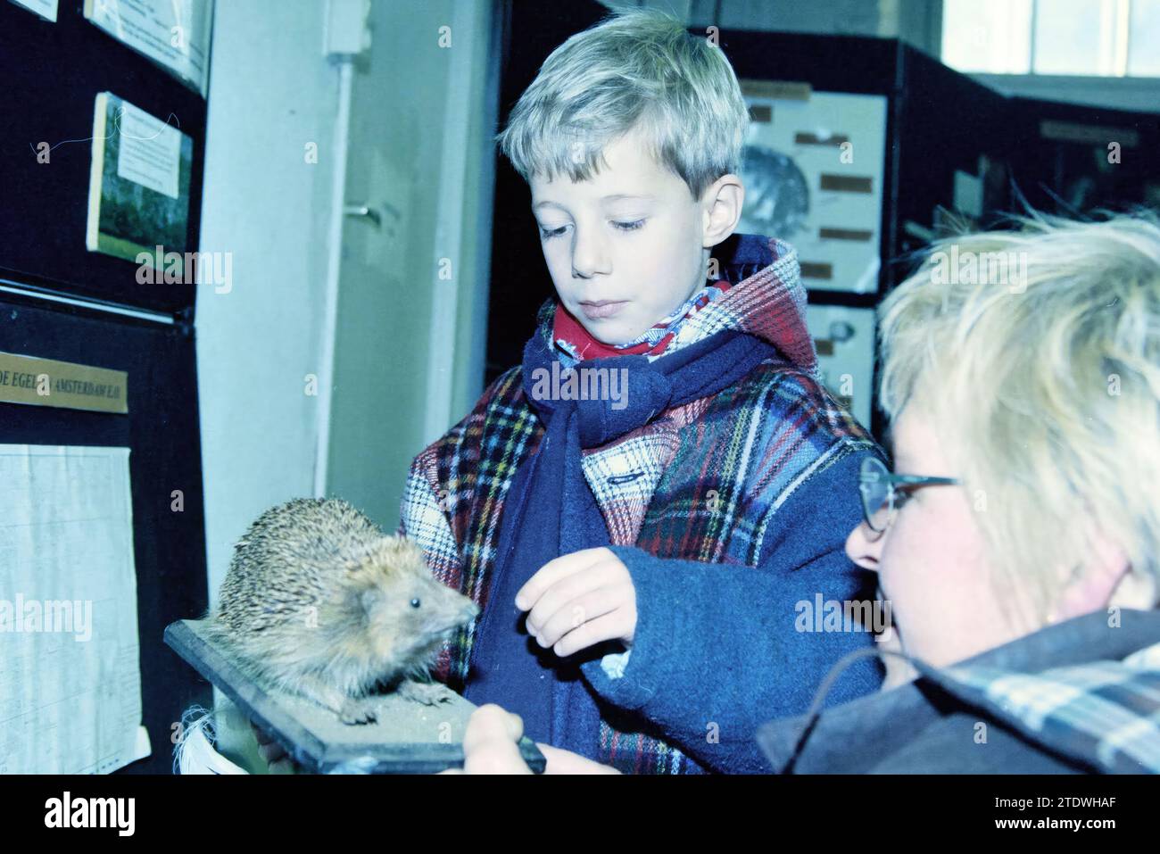 Kinder besuchen eine Ausstellung mit Kuscheltieren, Whizgle News from the Past, maßgeschneidert für die Zukunft. Erkunden Sie historische Geschichten, das Image der niederländischen Agentur aus einer modernen Perspektive, die die Lücke zwischen den Ereignissen von gestern und den Erkenntnissen von morgen überbrückt. Eine zeitlose Reise, die die Geschichten prägt, die unsere Zukunft prägen Stockfoto