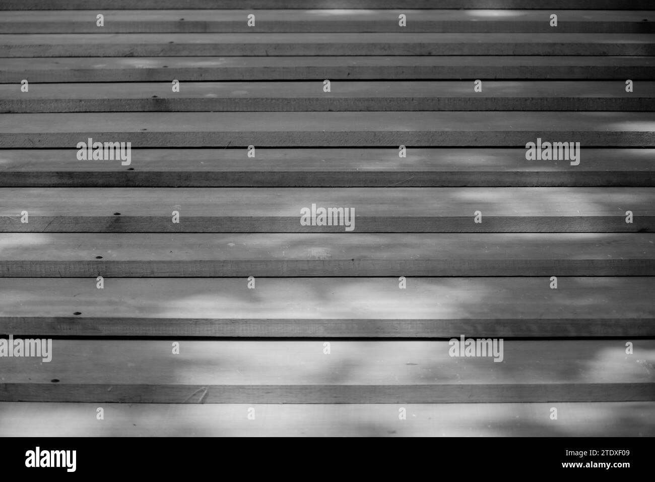 Abstrakte Sinfonie aus Holzdielen, anmutig in gestaffelter Harmonie angeordnet, gemalt von sanften Schatten, die von obenliegendem Laub geworfen werden – eine visuelle Poesie. Stockfoto